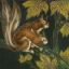 Gaston SUISSE (1896-1988) - Écureuils roux.